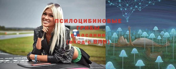 дмт Абаза