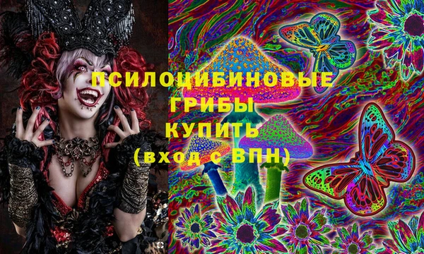 хмурый Алексин