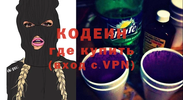 хмурый Алексин