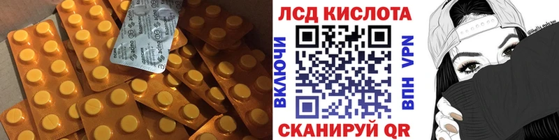 где найти наркотики  Кизилюрт  Лсд 25 экстази ecstasy 