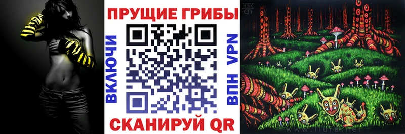 Галлюциногенные грибы GOLDEN TEACHER  Кизилюрт 