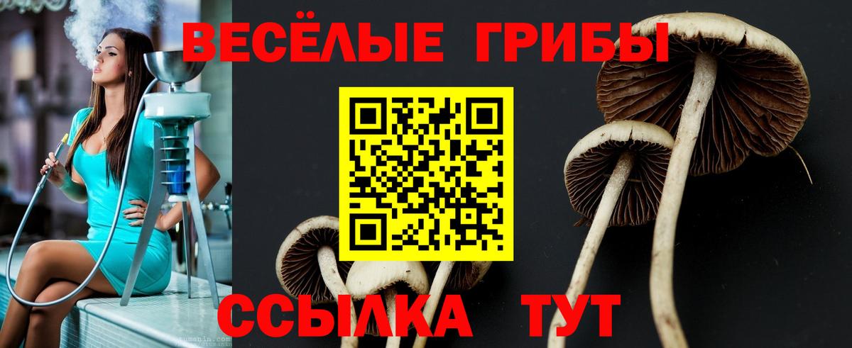 Псилоцибиновые грибы GOLDEN TEACHER Кизилюрт