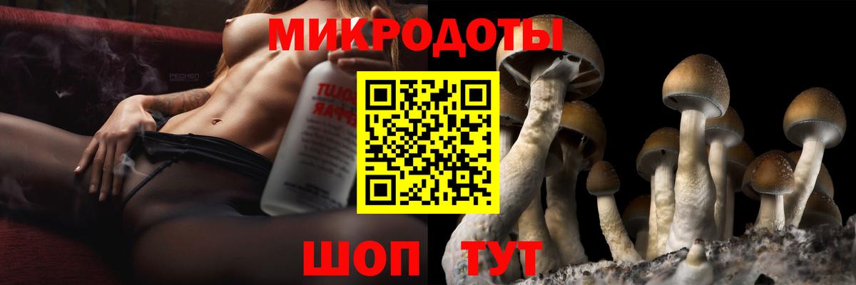 Псилоцибиновые грибы прущие грибы  Галлюциногенные грибы прущие грибы  наркошоп  Вход с VPN  Кизилюрт 
